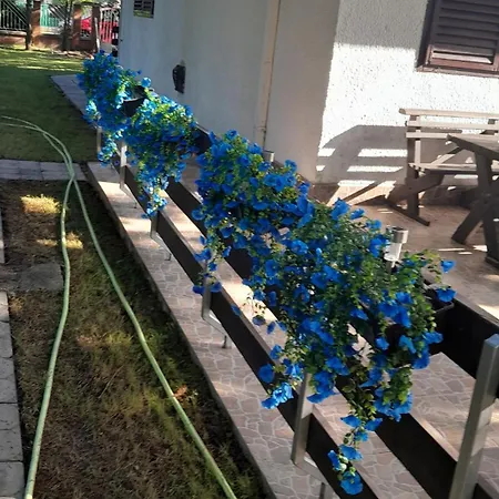 Picur Lak Holiday home Siofok